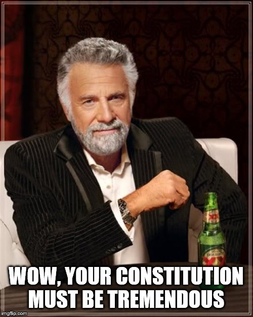 The Most Interesting Man In The World Meme | WOW, YOUR CONSTITUTION MUST BE TREMENDOUS | image tagged in memes,the most interesting man in the world | made w/ Imgflip meme maker