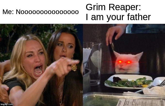 Woman Yelling At Cat | Me: Nooooooooooooooo; Grim Reaper: I am your father | image tagged in memes,woman yelling at cat | made w/ Imgflip meme maker