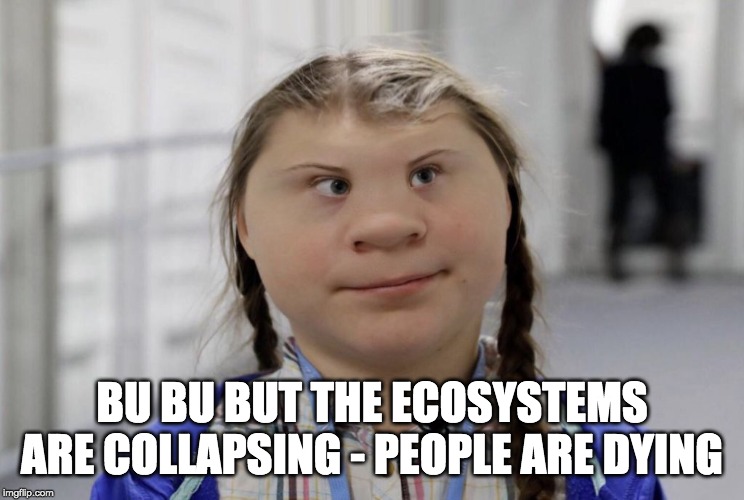 Angry Climate Activist Greta Thunberg | BU BU BUT THE ECOSYSTEMS ARE COLLAPSING - PEOPLE ARE DYING | image tagged in angry climate activist greta thunberg | made w/ Imgflip meme maker