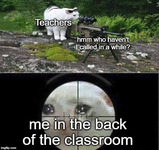 Sniper | Teachers; hmm who haven't I called in a while? me in the back of the classroom | image tagged in sniper cat,funny,memes,classroom,teacher,cats | made w/ Imgflip meme maker
