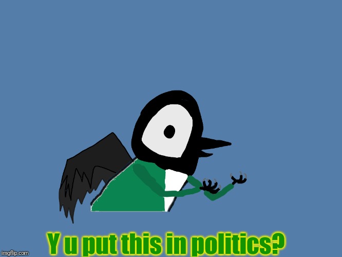 Y u put this in politics? | image tagged in y u no pied wagtail | made w/ Imgflip meme maker