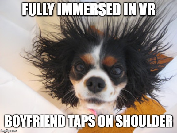 Fully Immersed in VR | FULLY IMMERSED IN VR; BOYFRIEND TAPS ON SHOULDER | image tagged in vr,virtual reality,jumpscare | made w/ Imgflip meme maker