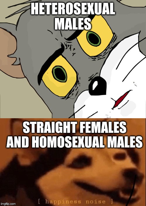 HETEROSEXUAL MALES STRAIGHT FEMALES AND HOMOSEXUAL MALES | image tagged in happiness noise,memes,unsettled tom | made w/ Imgflip meme maker