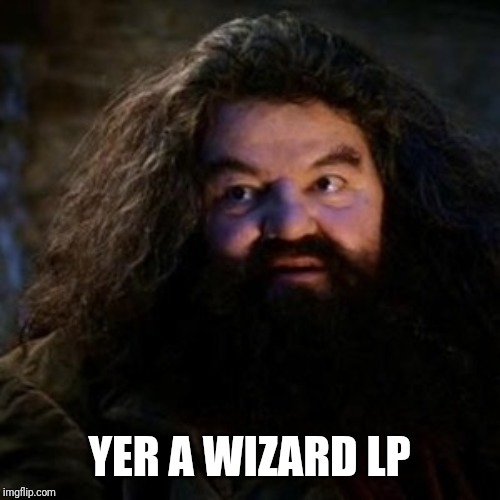 You're a wizard harry | YER A WIZARD LP | image tagged in you're a wizard harry | made w/ Imgflip meme maker