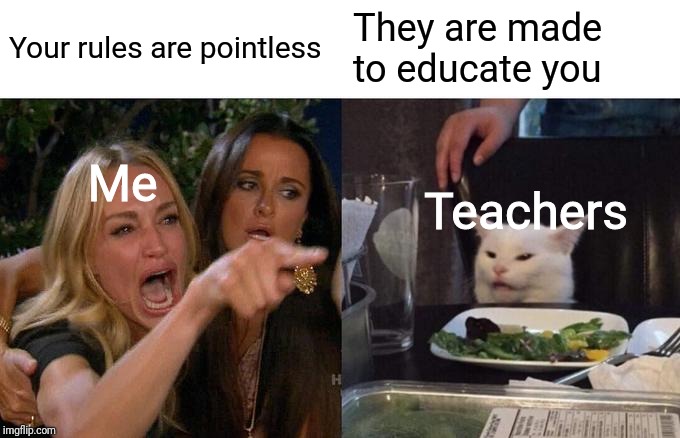 Woman Yelling At Cat Meme | Your rules are pointless; They are made to educate you; Me; Teachers | image tagged in memes,woman yelling at cat | made w/ Imgflip meme maker