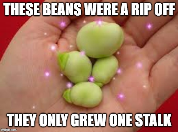 THESE BEANS WERE A RIP OFF; THEY ONLY GREW ONE STALK | image tagged in beans | made w/ Imgflip meme maker