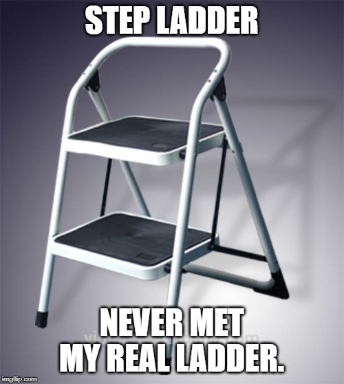 Step ladder | STEP LADDER NEVER MET MY REAL LADDER. | image tagged in step ladder | made w/ Imgflip meme maker