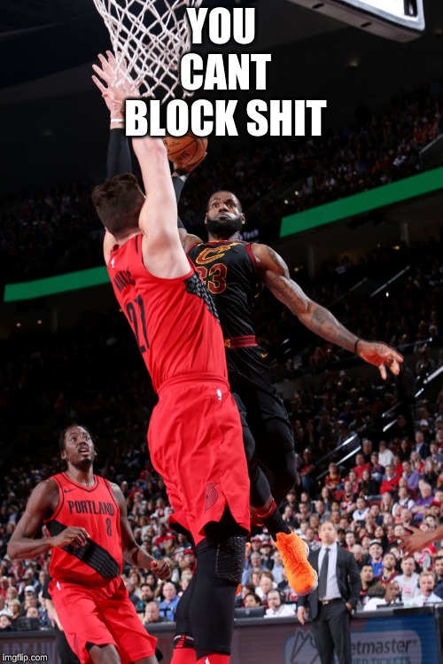 Lebron dunking meme | YOU
 CANT
 BLOCK SHIT | image tagged in lebron dunking meme | made w/ Imgflip meme maker