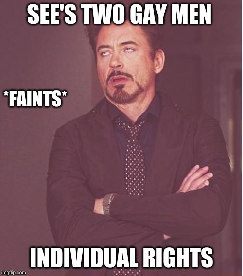 Face You Make Robert Downey Jr | SEE'S TWO GAY MEN; *FAINTS*; INDIVIDUAL RIGHTS | image tagged in memes,face you make robert downey jr | made w/ Imgflip meme maker