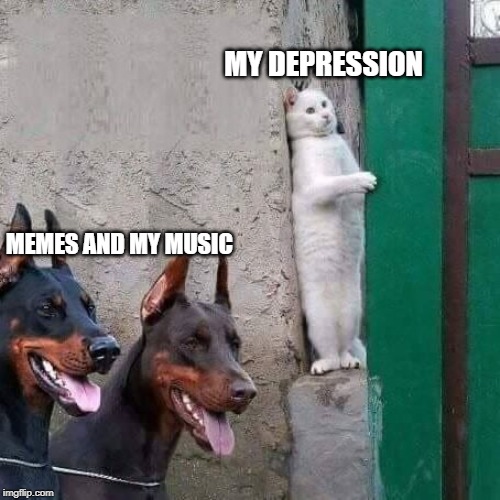 cat hiding from dogs | MY DEPRESSION; MEMES AND MY MUSIC | image tagged in cat hiding from dogs | made w/ Imgflip meme maker