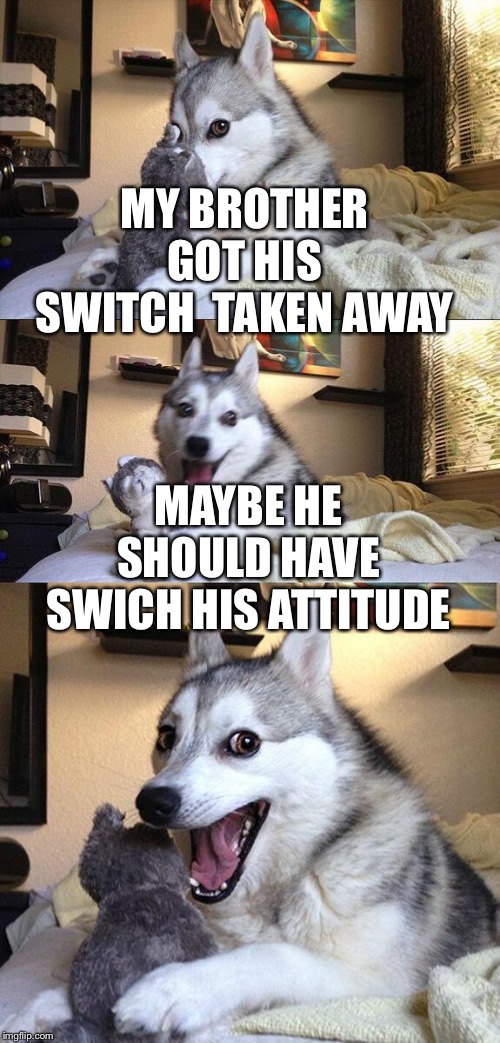 Bad Dog Puns | MY BROTHER GOT HIS SWITCH  TAKEN AWAY; MAYBE HE SHOULD HAVE SWICH HIS ATTITUDE | image tagged in bad dog puns | made w/ Imgflip meme maker