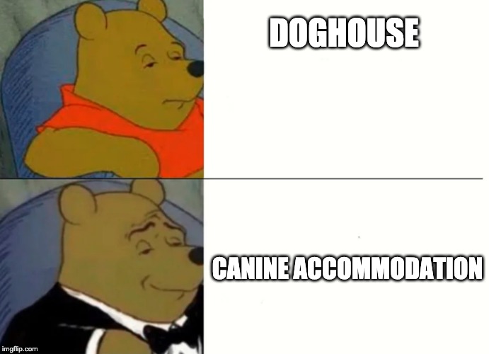 Fancy Winnie The Pooh Meme | DOGHOUSE; CANINE ACCOMMODATION | image tagged in fancy winnie the pooh meme | made w/ Imgflip meme maker