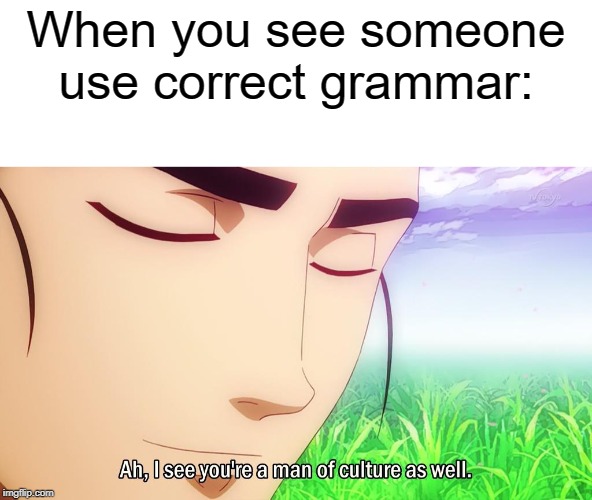 Correct Grammar Impresses Me | When you see someone use correct grammar: | image tagged in ah i see,grammar nazi,grammar,impressive | made w/ Imgflip meme maker