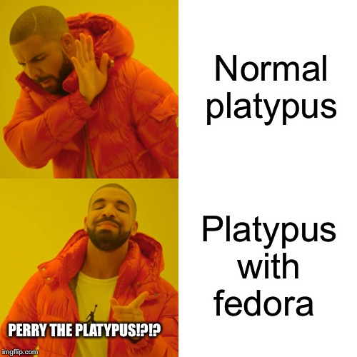 Drake Hotline Bling Meme | Normal platypus; Platypus with fedora; PERRY THE PLATYPUS!?!? | image tagged in memes,drake hotline bling | made w/ Imgflip meme maker