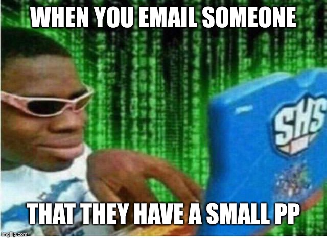 Hacker man | WHEN YOU EMAIL SOMEONE; THAT THEY HAVE A SMALL PP | image tagged in hacker man | made w/ Imgflip meme maker