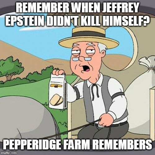 Pepperidge Farm Remembers |  REMEMBER WHEN JEFFREY EPSTEIN DIDN'T KILL HIMSELF? PEPPERIDGE FARM REMEMBERS | image tagged in memes,pepperidge farm remembers | made w/ Imgflip meme maker