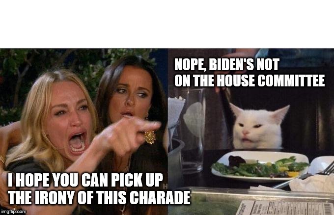 Woman Yelling At Cat Meme | I HOPE YOU CAN PICK UP THE IRONY OF THIS CHARADE NOPE, BIDEN'S NOT ON THE HOUSE COMMITTEE | image tagged in memes,woman yelling at cat | made w/ Imgflip meme maker