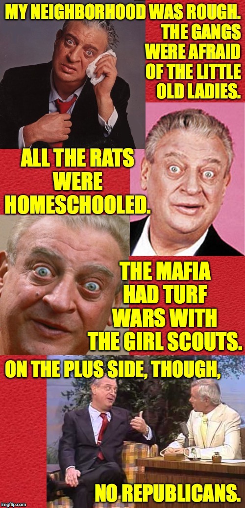 Sounds nice  ( : | THE MAFIA HAD TURF WARS WITH THE GIRL SCOUTS. | image tagged in memes,rodney dangerfield,my neighborhood was rough,republicans | made w/ Imgflip meme maker
