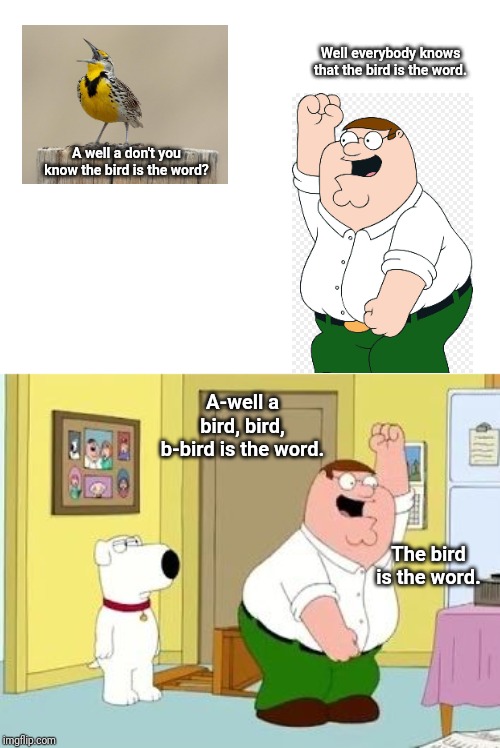 The bird is the word. | Well everybody knows that the bird is the word. A well a don't you know the bird is the word? A-well a bird, bird, b-bird is the word. The bird is the word. | image tagged in peter griffing the bird is the word,peter griffin,family guy,funny memes,funny meme,funny | made w/ Imgflip meme maker