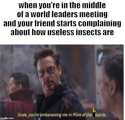 when you're in the middle of a world leaders meeting and your friend starts complaining about how useless insects are | image tagged in memes,avengers,marvel,conspiracy | made w/ Imgflip meme maker