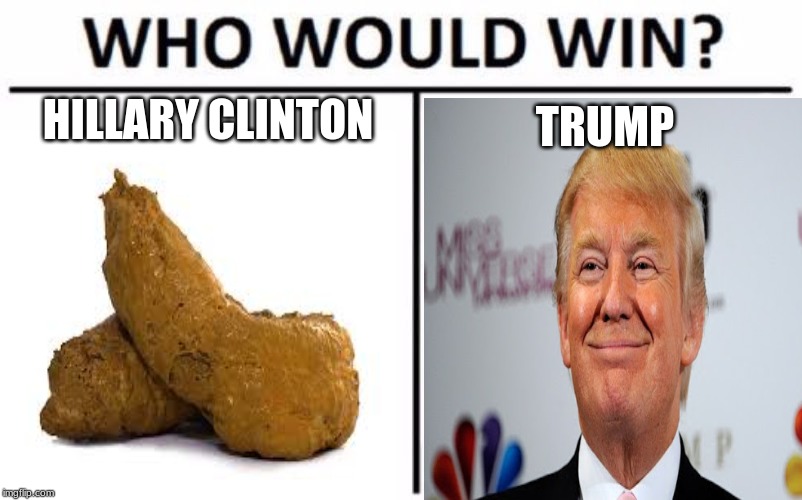 Who Would Win? | HILLARY CLINTON; TRUMP | image tagged in memes,who would win | made w/ Imgflip meme maker