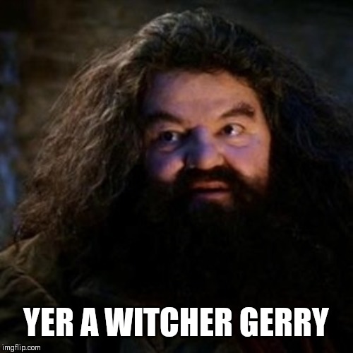 You're a wizard harry | YER A WITCHER GERRY | image tagged in you're a wizard harry | made w/ Imgflip meme maker