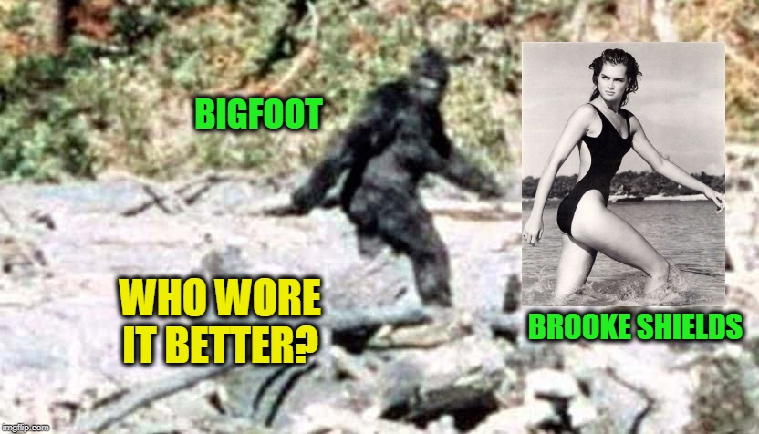 You Be the Judge | BIGFOOT; WHO WORE IT BETTER? BROOKE SHIELDS | image tagged in bigfoot,brooke shields | made w/ Imgflip meme maker