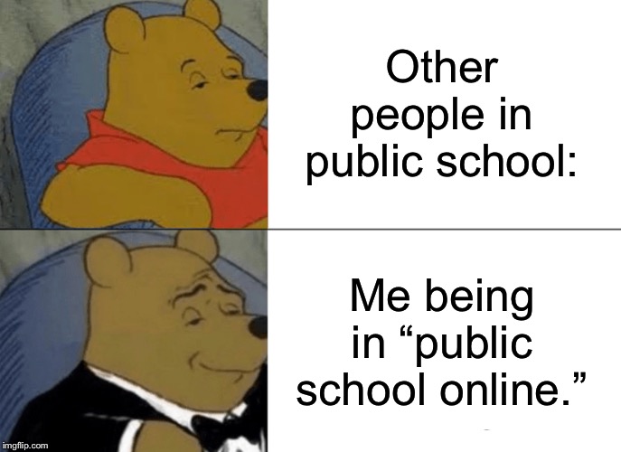 It’s true. | Other people in public school:; Me being in “public school online.” | image tagged in memes,tuxedo winnie the pooh,homeschool | made w/ Imgflip meme maker