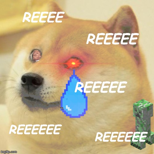 Doge Meme |  REEEE; REEEEE; REEEEE; REEEEEE; REEEEEE | image tagged in memes,doge | made w/ Imgflip meme maker