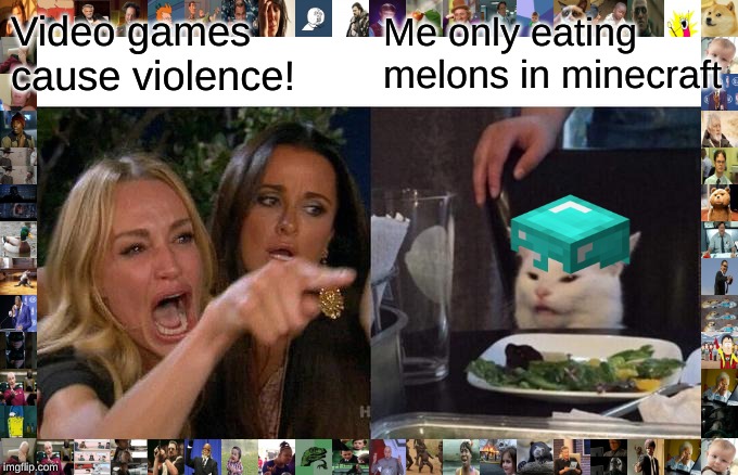 Woman Yelling At Cat | Video games cause violence! Me only eating melons in minecraft | image tagged in memes,woman yelling at cat | made w/ Imgflip meme maker