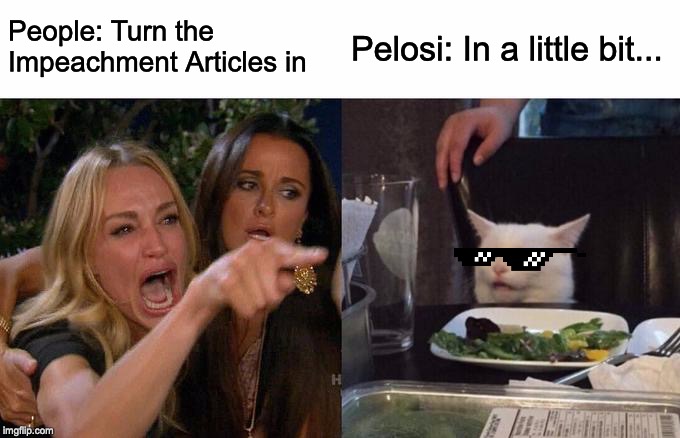 Woman Yelling At Cat Meme | People: Turn the Impeachment Articles in; Pelosi: In a little bit... | image tagged in memes,woman yelling at cat | made w/ Imgflip meme maker