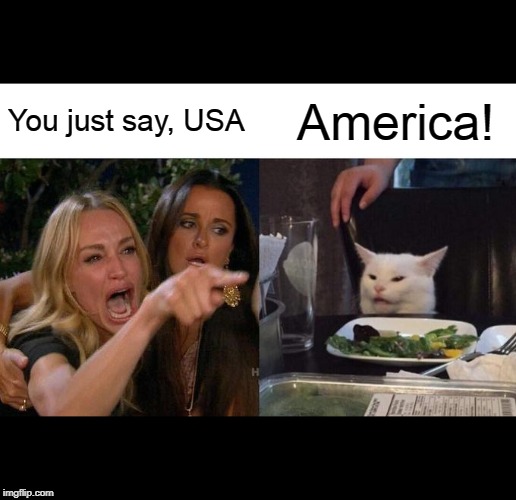 Woman Yelling At Cat Meme | You just say, USA; America! | image tagged in memes,woman yelling at cat | made w/ Imgflip meme maker