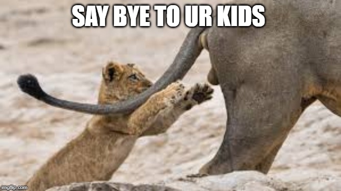 SAY BYE TO UR KIDS | image tagged in memes,funny | made w/ Imgflip meme maker