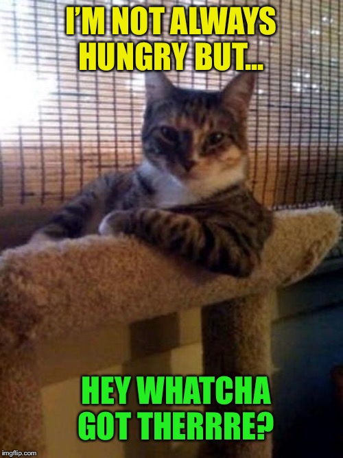 Most interesting cat in the world | I’M NOT ALWAYS HUNGRY BUT... HEY WHATCHA GOT THERRRE? | image tagged in most interesting cat in the world | made w/ Imgflip meme maker