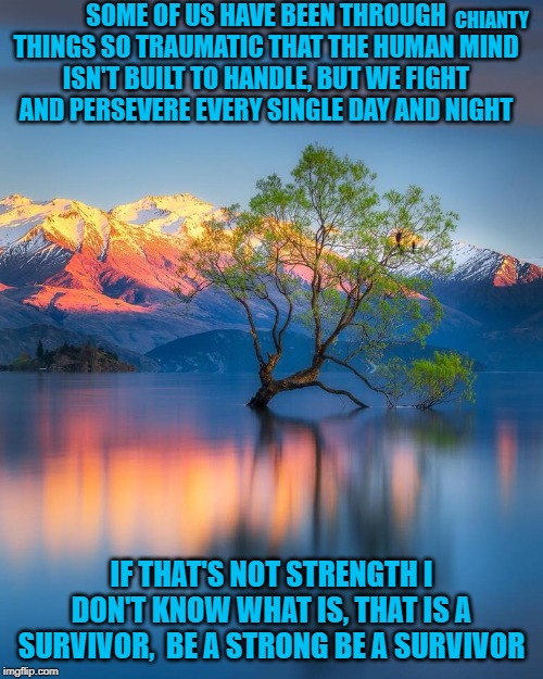 Stay Strong | SOME OF US HAVE BEEN THROUGH THINGS SO TRAUMATIC THAT THE HUMAN MIND ISN'T BUILT TO HANDLE, BUT WE FIGHT AND PERSEVERE EVERY SINGLE DAY AND NIGHT; CHIANTY; IF THAT'S NOT STRENGTH I DON'T KNOW WHAT IS, THAT IS A SURVIVOR,  BE A STRONG BE A SURVIVOR | image tagged in survivor | made w/ Imgflip meme maker