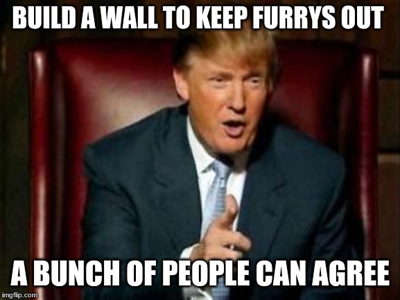 Donald Trump | BUILD A WALL TO KEEP FURRYS OUT; A BUNCH OF PEOPLE CAN AGREE | image tagged in donald trump | made w/ Imgflip meme maker