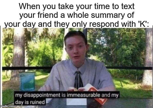 K | When you take your time to text your friend a whole summary of your day and they only respond with 'K': | image tagged in my dissapointment is immeasurable and my day is ruined | made w/ Imgflip meme maker