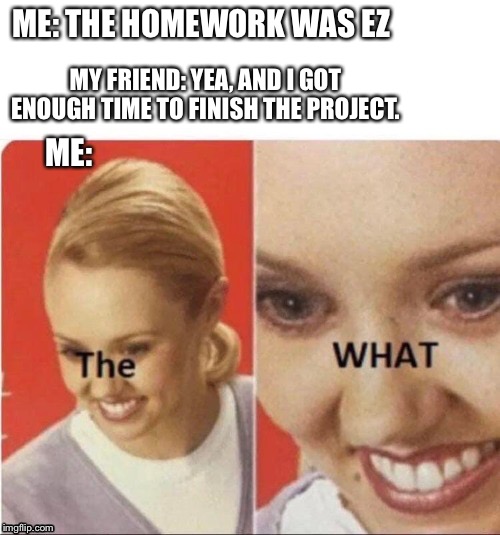 ME: THE HOMEWORK WAS EZ; MY FRIEND: YEA, AND I GOT ENOUGH TIME TO FINISH THE PROJECT. ME: | image tagged in fun | made w/ Imgflip meme maker