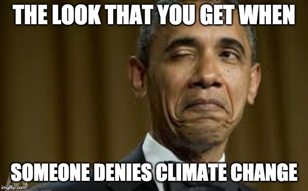 yeet | THE LOOK THAT YOU GET WHEN; SOMEONE DENIES CLIMATE CHANGE | image tagged in memes,politics | made w/ Imgflip meme maker