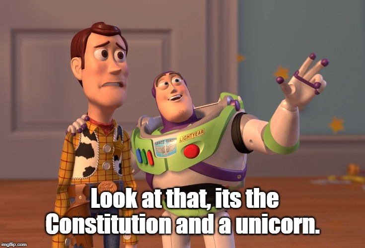 X, X Everywhere | Look at that, its the Constitution and a unicorn. | image tagged in memes,x x everywhere | made w/ Imgflip meme maker