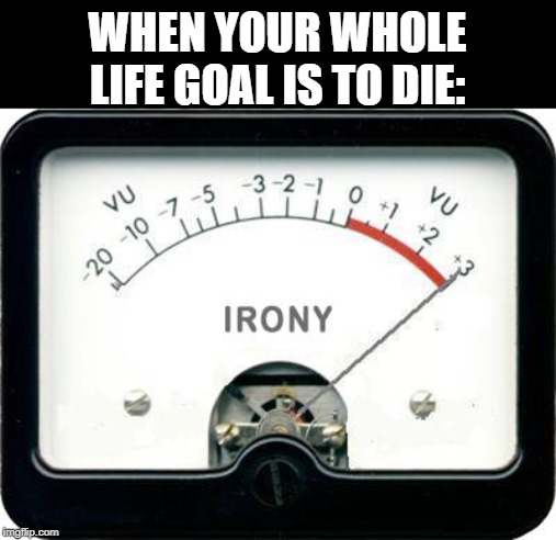 Life and Death | WHEN YOUR WHOLE LIFE GOAL IS TO DIE: | image tagged in irony meter,life goals,death,life,die | made w/ Imgflip meme maker