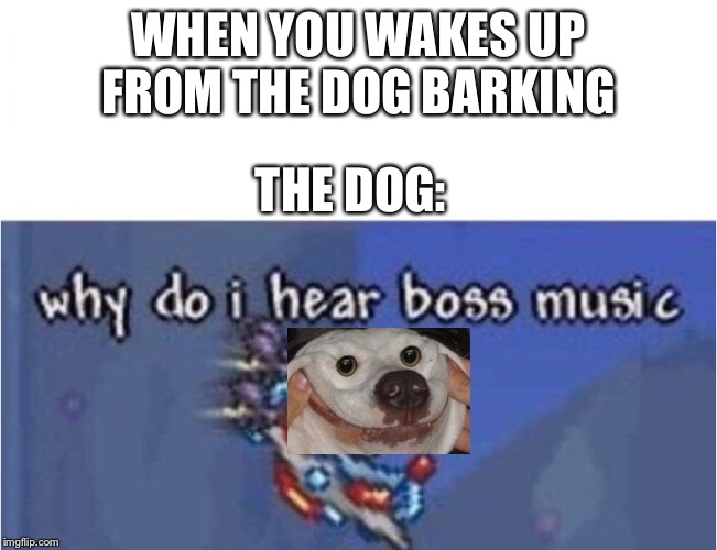 why do i hear boss music | WHEN YOU WAKES UP FROM THE DOG BARKING; THE DOG: | image tagged in why do i hear boss music | made w/ Imgflip meme maker