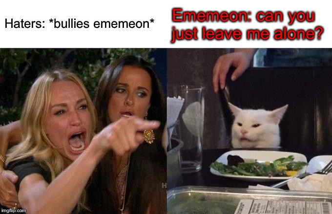 Woman Yelling At Cat Meme | Haters: *bullies ememeon*; Ememeon: can you just leave me alone? | image tagged in memes,woman yelling at cat | made w/ Imgflip meme maker