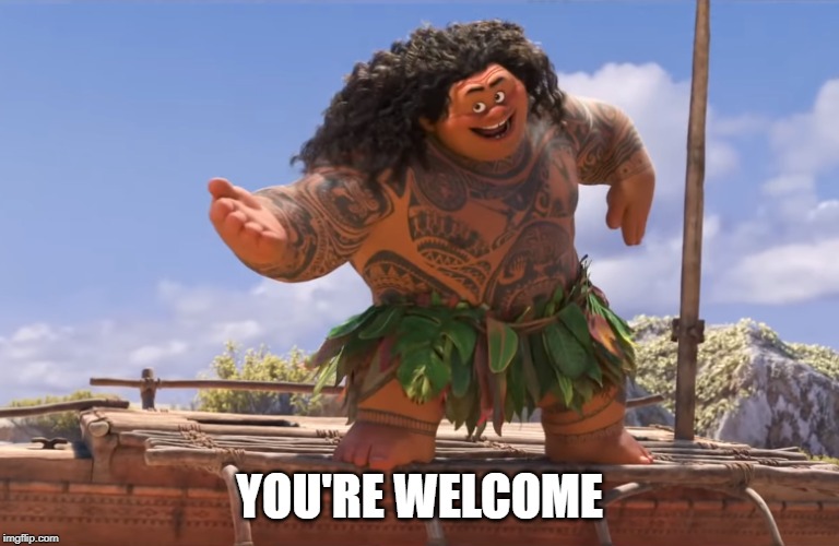 you're welcome without subs | YOU'RE WELCOME | image tagged in you're welcome without subs | made w/ Imgflip meme maker