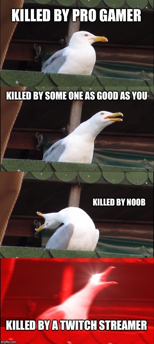 Inhaling Seagull | KILLED BY PRO GAMER; KILLED BY SOME ONE AS GOOD AS YOU; KILLED BY NOOB; KILLED BY A TWITCH STREAMER | image tagged in memes,inhaling seagull | made w/ Imgflip meme maker