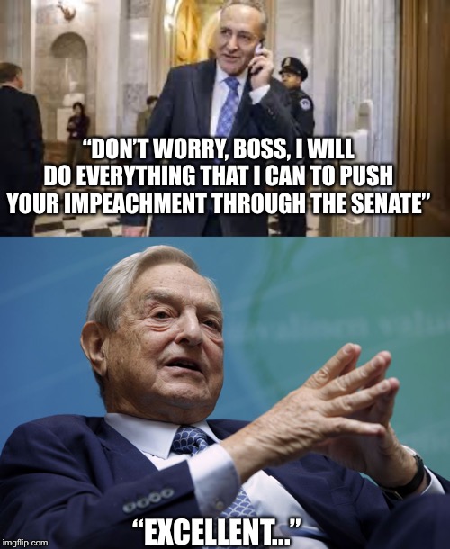 You will try anyway | “DON’T WORRY, BOSS, I WILL DO EVERYTHING THAT I CAN TO PUSH YOUR IMPEACHMENT THROUGH THE SENATE”; “EXCELLENT...” | image tagged in george soros,chuck schumer,democrats,trump impeachment | made w/ Imgflip meme maker