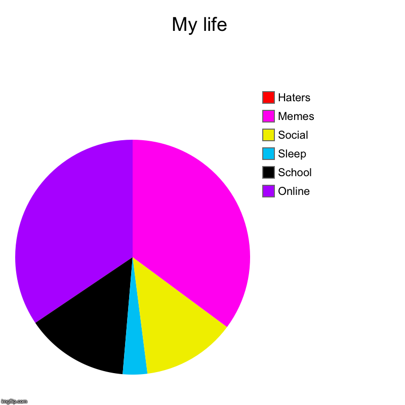 My life | Online, School, Sleep, Social, Memes, Haters | image tagged in charts,pie charts | made w/ Imgflip chart maker