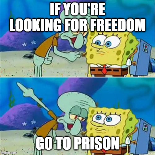 Talk To Spongebob | IF YOU'RE LOOKING FOR FREEDOM; GO TO PRISON | image tagged in memes,talk to spongebob | made w/ Imgflip meme maker