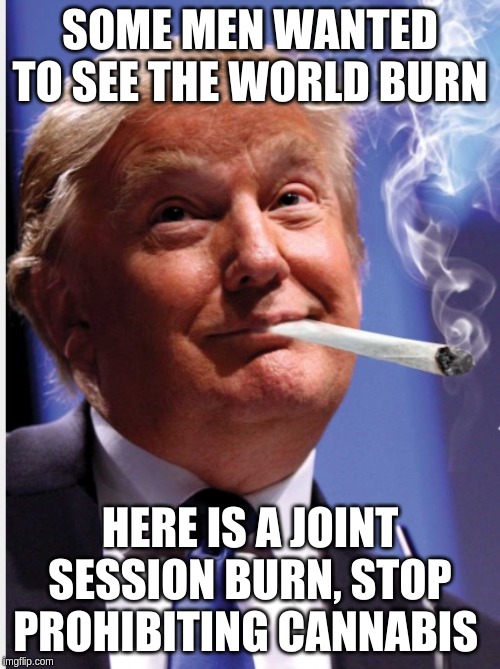 Trump Weed | SOME MEN WANTED TO SEE THE WORLD BURN; HERE IS A JOINT SESSION BURN, STOP PROHIBITING CANNABIS | image tagged in trump weed | made w/ Imgflip meme maker