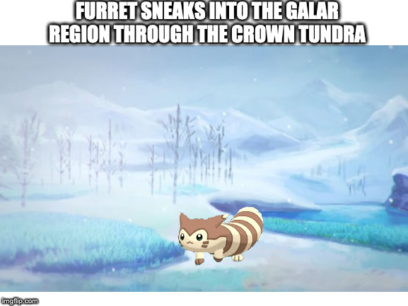 FURRET SNEAKS INTO THE GALAR REGION THROUGH THE CROWN TUNDRA | made w/ Imgflip meme maker